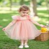 AGQT Baby Girls Tutu Dress Sleeveless Toddler Infant Tulle Tutu Dresses Birthday Party Flower Wedding Layered Lace Mini Layers Dress Light Pink Size 3-4T view 4