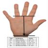 LEVIERO Woddies Gymnastics Grips for Crossfit, Pull-Ups, Weightlifting - Soft Leather, Comfort Fit, Durable WOD Grips for Adults XS Aqua view 3