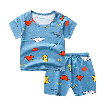 Baby Boy Girl Clothes OutfitsCottonPrinted TopCasual2PC Set Baby Gift Set Boy (Blue, 0-6 Months)