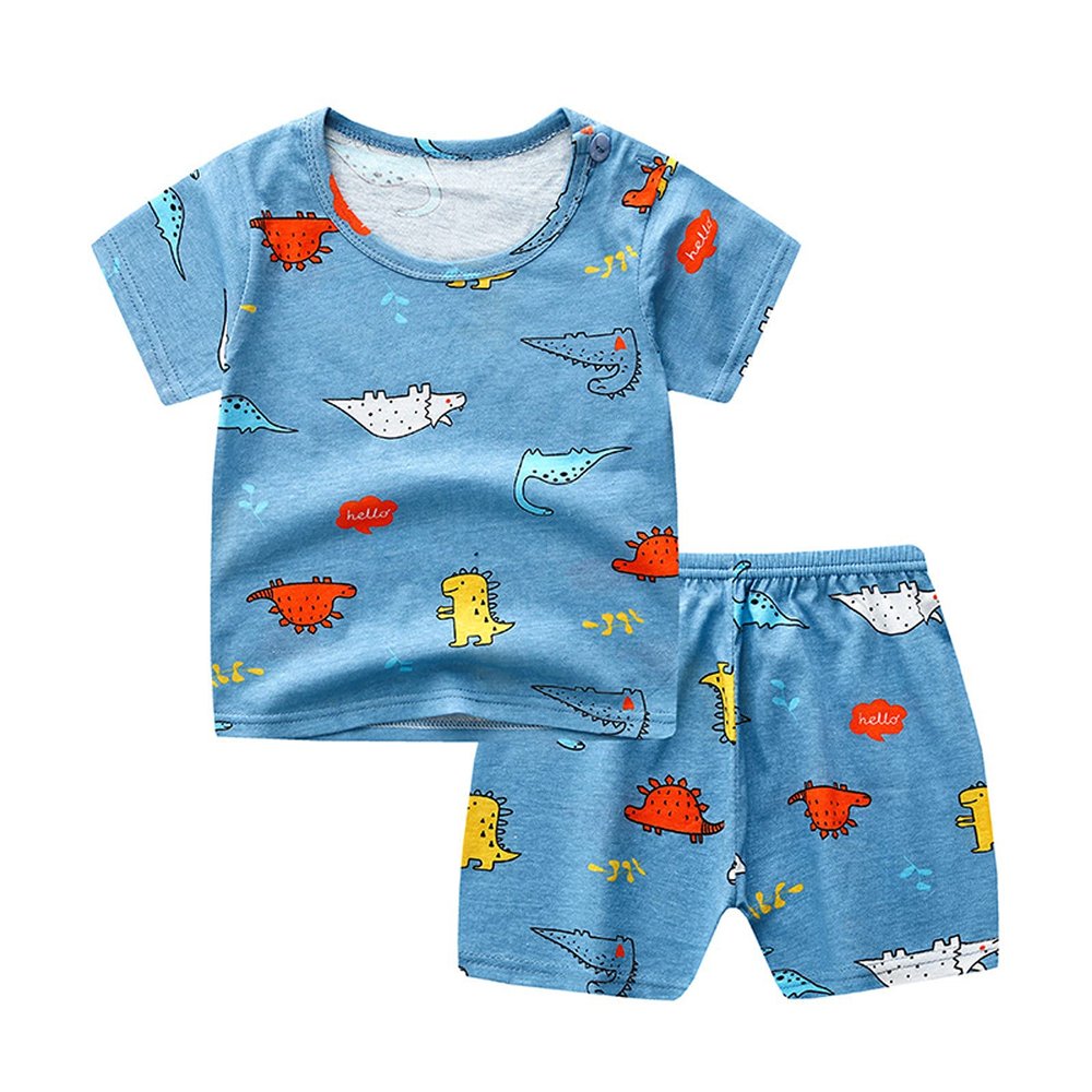 Baby Boy Girl Clothes OutfitsCottonPrinted TopCasual2PC Set Baby Gift Set Boy (Blue, 0-6 Months)