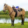 Daarkgreen Leather Western Barrel Racing Horse Saddle and Tack Set Headstall Breast Collar and Reins Size 12-18 Inches view 2
