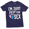 Just here for hex Gender Reveal Pink or Blue Boy Girl Mens Unisex Tee Shirt (Medium Grey) view 3