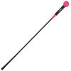 Golf Swing Trainer Aid 48"/40" Warm-Up Stick for Strength Flexibility Tempo Training Golf Practice Aid with Weighted Head Swing Corrector for Men Women view 1