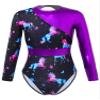 HULIJA Gymnastics Leotards for Toddler Girls Long Sleeve Cartoon Horses Athletic Dancewear Purple 10 Years view 1