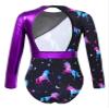 HULIJA Gymnastics Leotards for Toddler Girls Long Sleeve Cartoon Horses Athletic Dancewear Purple 10 Years view 2