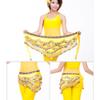 Belly Dance Hip Scarf for Women Coins Belly Dance Costume Skirt Wrap Belt Sequin Style Music Festival Clothing,A20 view 2