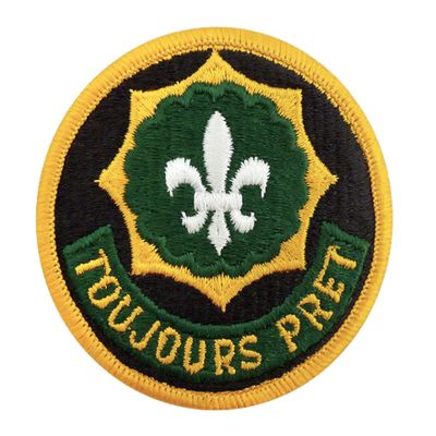 2nd Armored Cavalry Regiment AGSU Color Patch (Military Issued)-Veteran Owned Business