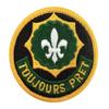 2nd Armored Cavalry Regiment AGSU Color Patch (Military Issued)-Veteran Owned Business view 1
