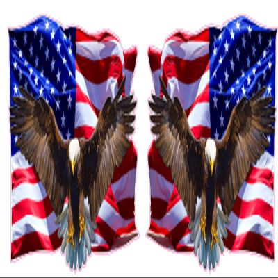 Soaring Bald Eagle American Flag Right & Left Decal (36" x 24")