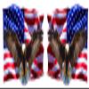 Soaring Bald Eagle American Flag Right & Left Decal (36" x 24") view 1
