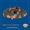 Country Brook Design - Terracotta Arrows Photo Quality Polyester (1/2 Inch, 20 Yards) view 2