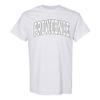AS1364 - Providence Friars Mega Arch T Shirt - 3X-Large - Ash view 1