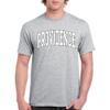 UGP Campus Apparel AS1364 - Providence Friars Mega Arch T Shirt - Medium - Sport Grey view 4