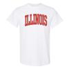 UGP Campus Apparel AS1364 - Illinois Fighting Illini Mega Arch T Shirt - Medium - White view 1