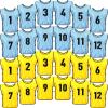 Yahenda 24 Pcs Sports Pinnies Soccer Scrimmage Practice Vests Numbered Soccer Team Pennies with Belt for Adult(Large,Gold, Sky Blue) view 1