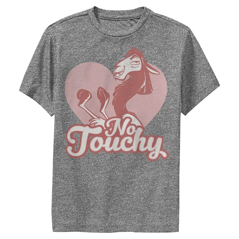 Disney Emperor's New Grove No Love Boys Short Sleeve Tee Shirt, Charcoal Heather, Large