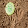 Triceratops Disc Golf Putter for Children | Ultra Lightweight | Made by Dino Discs (Egg Shell) view 3