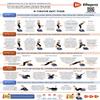 Lifepro Whole Body Vibration Plate Workout Poster - Comprehensive Vibration Plate Exercise Machine Exercise Poster with Training Suggestions & Detailed Instructions in Convenient Workout Chart view 1