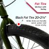 Tracer Edge Kids Freestyle BMX Bike, Entry and Intermediate Rider, Boys and Girls Bikes, 20-Inch Wheels, Hi-Ten Steel Frame, U Brake 2/3-Piece Crank Options Multiple Colors (Pearl Green, 3.0) view 4