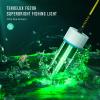 Tendelux Underwater Fishing Light, 110V & 12V Super Bright Green LED Submersible Light Attractants for Docks, Boats or Kayaks, IP68 Rated for Fresh & Salt Water (30ft Cable) view 2
