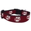 College Dog Collar (Large, UMass) view 1
