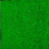 Lancer Tactical 2,000 Round 0.20g/0.28g Outdoor Tracer Airsoft BBS (Color: Green) X3 -Outdoor Field Compliant view 3