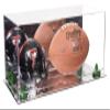 Better Display Cases Acrylic Display Case for Full Size Football and Mini Helmet - Large Rectangle Box with Mirror Case, Green Risers and Mirror Base 19.25" x 8.25" x 8" (B47/A103) view 1