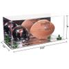 Better Display Cases Acrylic Display Case for Full Size Football and Mini Helmet - Large Rectangle Box with Mirror Case, Green Risers and Mirror Base 19.25" x 8.25" x 8" (B47/A103) view 2