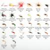 ANGLER DREAM Fly Fishing Flies with waterproof Fly Box Kit for Bass Trout Salmon 32Pcs/48Pcs/88Pcs/100Pcs Premium Hand-Tied Dry Flies, Nymphs, scud Streamers lures Starter Kit with hooks view 2