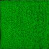 Lancer Tactical 0.20g-0.30g Streamline Competition Grade Tracer Airsoft BBS (Color: Green) X3 (0.25g 4000 Rd) view 4