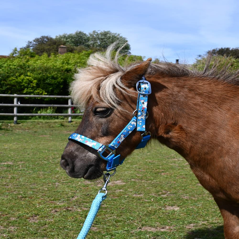 Rhinegold Unicorn Headcollar and Rope Set - Shetland - Turq, Turquoise