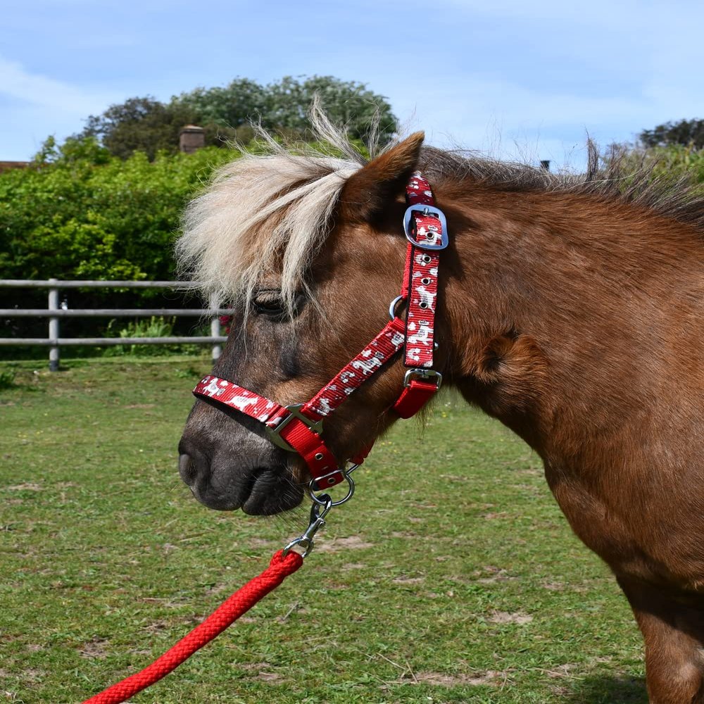 Rhinegold Unicorn Headcollar and Rope Set - Pony - Red
