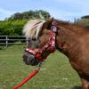 Rhinegold Unicorn Headcollar and Rope Set - Pony - Red view 1