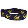 College Dog Collar (Medium, Cal) view 1