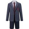 AwwwCos The Musical Cosplay Gray Costume School Uniform Suit Jacket Shorts Tie Halloween Party Outfit Uniforms 120 view 1