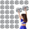 Yunsailing 24 Pack Cheerleading Pom Poms with Baton Handle 14.5 Inch Metallic Cheering Squad Pompoms for Team Sports Football Dance Cheering Adults(Silver) view 1