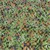 Amadon Lightweight Waterproof Camouflage Net,Woodland Mountain Forest Concealment Camo Net,Outdoor Camo Netting,Privacy Screen,Optional Size,for Camping,Decoration,Sun Protection (16.4x23ft) view 2