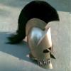 Medieval 300 Spartan Armor Helmet | King Leonidas Helmet with Black Plume | view 2