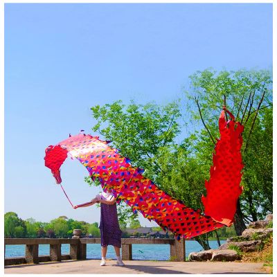 LXLZYXSF Chinese Dragon-Dancing Gymnastics Ribbons Throw Streamer with Rope, Flowy Spinning & Shaking Poi, Recreation and Fitness in One (Color : Red, Size : 8m/26ft)