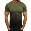 Mens Short Sleeve Workout T Shirt Lightweight Stylish Slim Fit Muscle Tee Casual Basic Crew Neck Athletic Shirts (Green,XX-Large) view 1