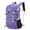Bseash 40L Waterproof Hiking Backpack with Rain Cover, Outdoor Sport Travel Bag Daypack for Camping Climbing Skiing Cycling (Violet) view 1