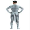 Bemeiren Animal Bodysuit for Men Zentai Spandex Body Suit with Big Tail Halloween Furry Costumes Dog view 3
