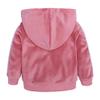 MYGBCPJS Boys Girls 2 Pcs Velour Tracksuit Sweatsuit Toddler Kids Long Sleeve Pullover Hoodie + Elastic Waist Sweatpants Set view 3