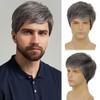 Amnenl Mens Short Grey Wig Layered Natural Synthetic Gray Cosplay Costume Daily Wigs for Men Male Guy view 1