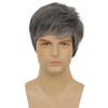Amnenl Mens Short Grey Wig Layered Natural Synthetic Gray Cosplay Costume Daily Wigs for Men Male Guy view 2