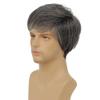 Amnenl Mens Short Grey Wig Layered Natural Synthetic Gray Cosplay Costume Daily Wigs for Men Male Guy view 3