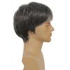 Amnenl Mens Short Grey Wig Layered Natural Synthetic Gray Cosplay Costume Daily Wigs for Men Male Guy view 4