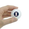 GRAPHICS & MORE University of Illinois Fighting Illini Logo Novelty Table Tennis Ping Pong Ball 3 Pack view 2