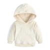 MYGBCPJS Boys Girls 2 Pcs Velvet Sweat Suit Outfits Toddler Kids Long Sleeve Pullover Hoodie + Elastic Waist Sweatpants Set view 2