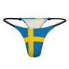 Flag of Sweden G-String for Women String T-Back Thongs Panties Underpants Underwear XS view 3